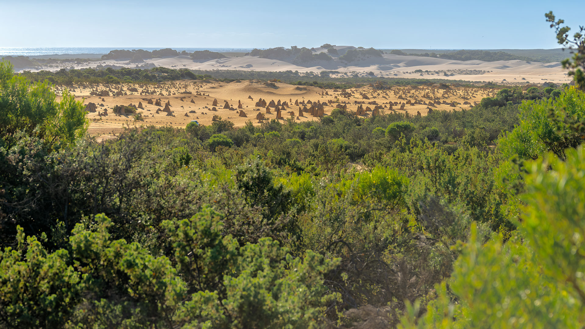 The Pinnacles Desert